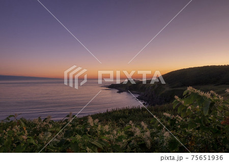 夜明け前の日の出岬の風景 75651936