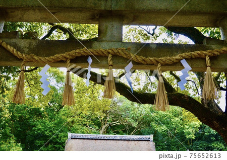 石鳥居・しめ縄・幣束（休ヶ岡八幡宮／奈良県奈良市西ノ京町457）の写真素材 [75652613] - PIXTA