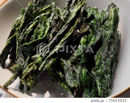 ワカメ 海藻 緑 75653032