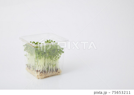 クレス　スプラウト 75653211