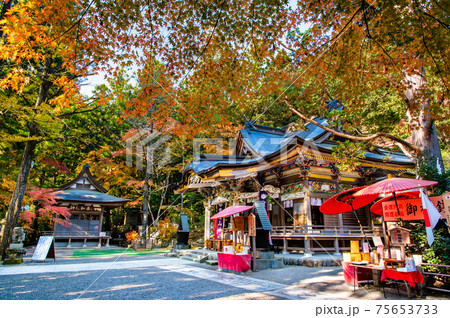 埼玉県長瀞町　紅葉の宝登山神社（本殿） 75653733