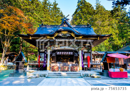 埼玉県長瀞町　紅葉の宝登山神社（本殿） 75653735