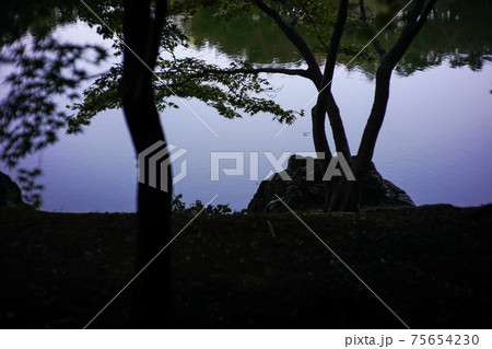 庭 庭園 ガーデン 75654230