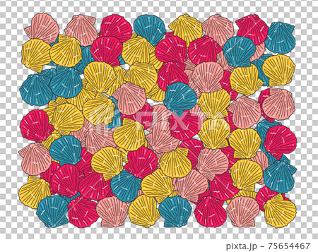 手繪石竹貝殼插圖/矩形填充 手繪石竹貝殼插圖/矩形填充 75654467