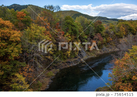 秋の滝上町錦仙峡の紅葉 秋の滝上町錦仙峡の紅葉 75654515