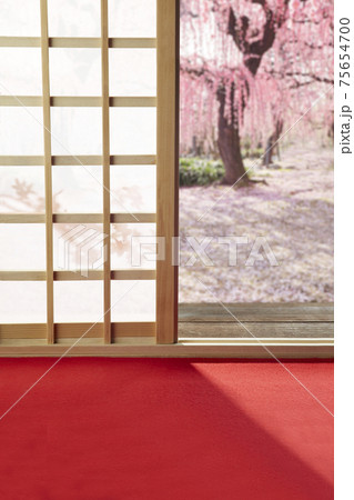 和室　茶室　毛氈　赤いカーペット　梅 75654700