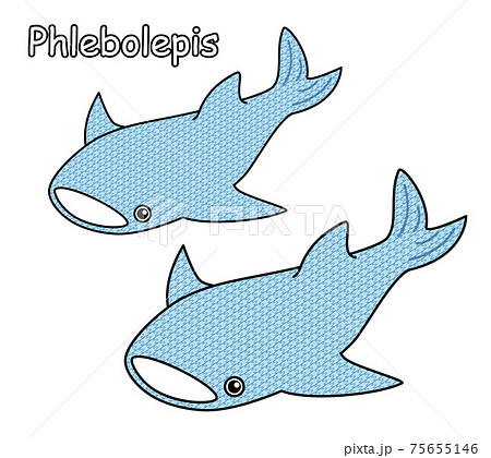 古代魚 フレボレピス Phlebolepis ジンベイザメに似た姿のアゴがない魚 イラスト ベクターのイラスト素材