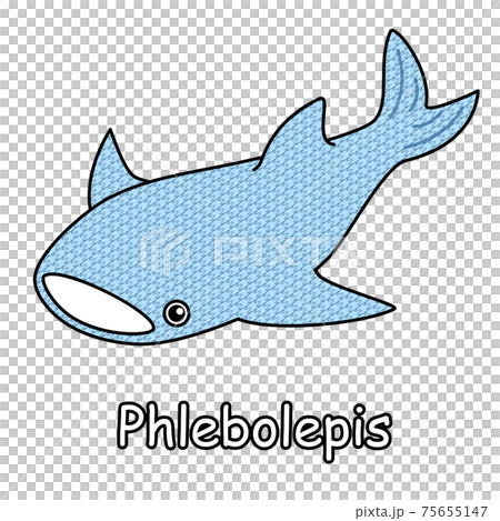 古代魚 フレボレピス Phlebolepis ジンベイザメに似た姿のアゴがない魚 イラスト ベクター 75655147