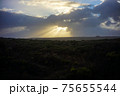 空 エーテル 大空 75655544