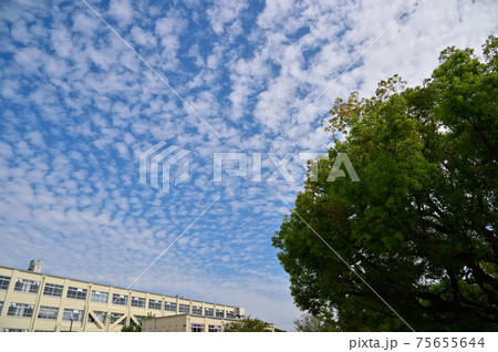 校舎とうろこ雲 75655644