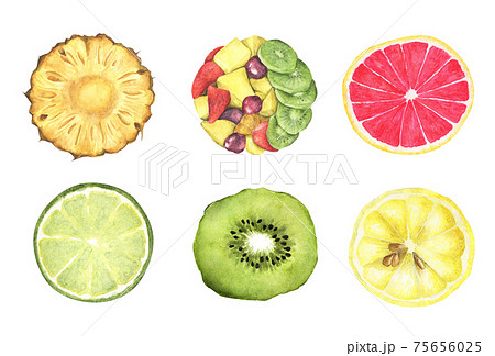 見てわかるイラスト果物づくり 見てわかるイラスト果物づくり 見てわかるイラスト果物づくり 見て