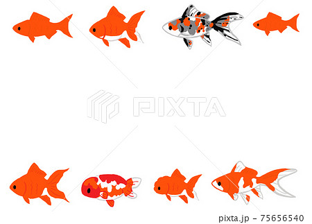 金魚が泳いでいる夏イメージの背景イラスト 横のイラスト素材