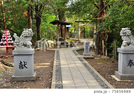 静岡県 柿田川公園 貴船神社参道のえんむすび通り 静岡県 柿田川公園 貴船神社参道のえんむすび通り 75656989