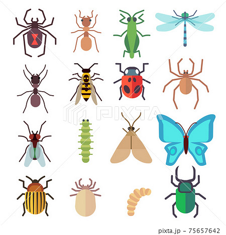 Insect flat icons set 75657642