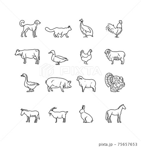 Farm animals thin line icons set. Outline cow, pig, chicken, horse, rabbit, goat, donkey, sheep, geese symbols 75657653