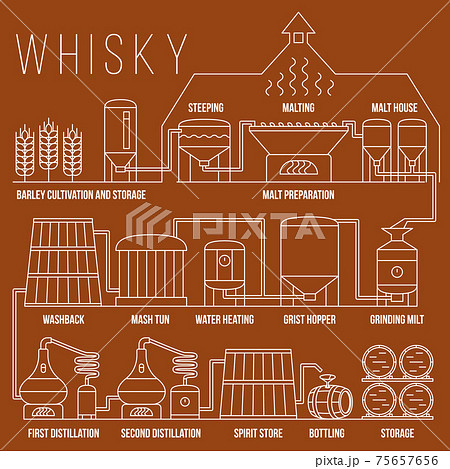 Whiskey production process infographic template 75657656