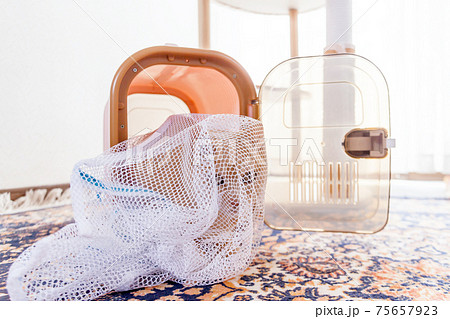 暴れる猫を洗濯ネットに入れて動物病院へ連れて行く 暴れる猫を洗濯ネットに入れて動物病院へ連れて行く 75657923