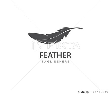 feather logo vector 75659039
