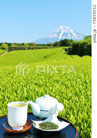 初夏の青空 富士山と新茶 初夏の青空 富士山と新茶 75659252