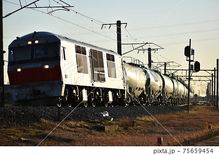 夕日を浴びて白鳥信号場を行く貨物列車 夕日を浴びて白鳥信号場を行く貨物列車 75659454