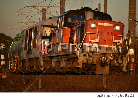 夕日を浴びて白鳥信号場を駆け抜けるDD51+DF200貨物列車 75659523