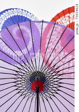 和傘　紙傘　踊り傘　白バック 75659628