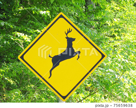鹿の飛び出し、動物注意の道路標識 75659638