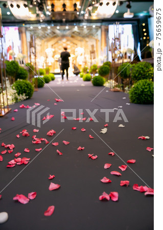 女性 女 女の子 75659675