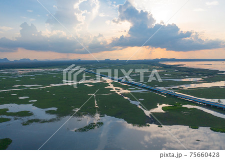 Aerial view of swamp or lagoon in Phang Nga Bay, lake, sea or river in national park and mountain or hill in Thailand. Natural landscape background. 75660428