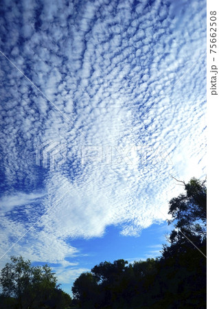うろこ雲 うろこ雲 75662508