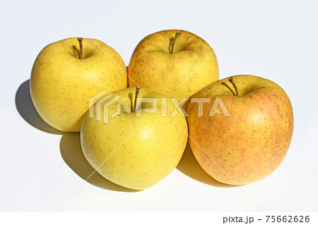りんご（サン金星） 75662626