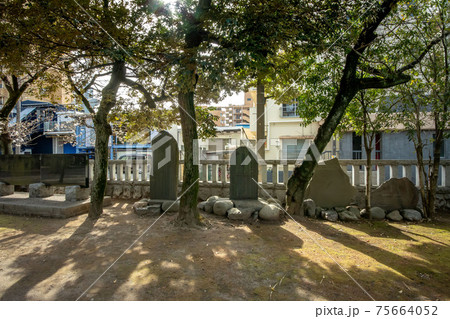 埼玉県川口市の川口神社と境内社の梅ノ木天神社 75664052