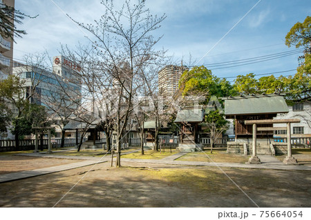 埼玉県川口市の川口神社と境内社の梅ノ木天神社 75664054