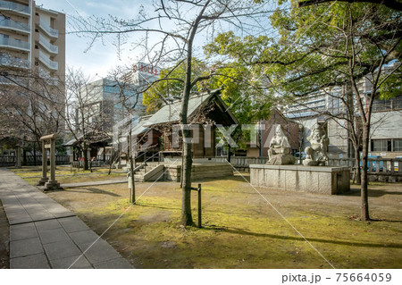 埼玉県川口市の川口神社と境内社の梅ノ木天神社 75664059