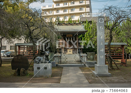 埼玉県川口市の川口神社と境内社の梅ノ木天神社 75664063