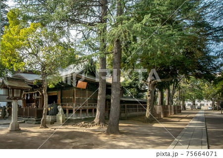 埼玉県川口市の川口神社と境内社の梅ノ木天神社 75664071