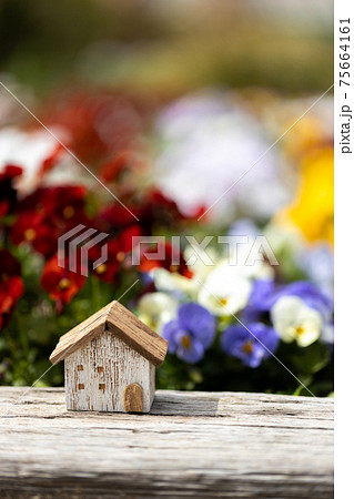 小さなおうち(春の花背景) 小さなおうち(春の花背景) 75664161