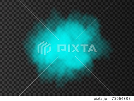 Blue smoke circle or fog  track isolated on transparent background. 75664308