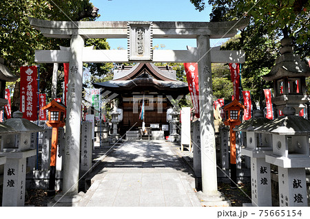 信太森神社　鳥居と奥に本殿　(大阪府和泉市) 75665154