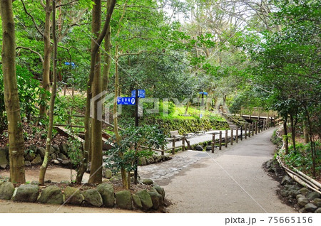静岡県 柿田川公園 湧水広場と道案内 静岡県 柿田川公園 湧水広場と道案内 75665156