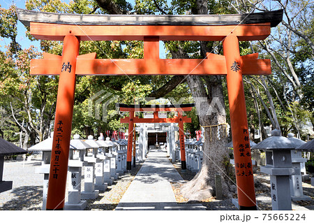 信太森神社　鳥居と奥に本殿　(大阪府和泉市) 75665224