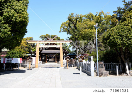 和泉國一之宮 大鳥大社　(大阪府堺市) 75665581