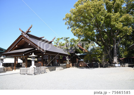 和泉國一之宮 大鳥大社 (大阪府堺市) 和泉國一之宮 大鳥大社 (大阪府堺市) 75665585