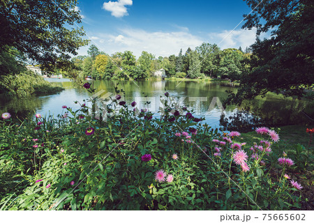 Lazienki Park in Warsaw 75665602
