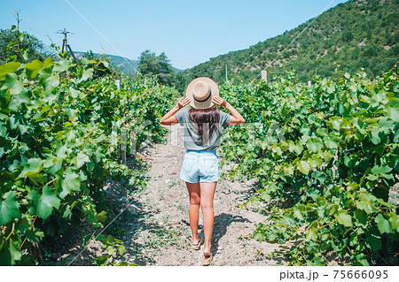 Woman in the vineyard in sun day 75666095