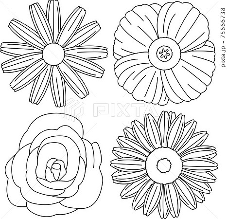 いろいろな種類の花のシンプルなイラスト 線画 のイラスト素材