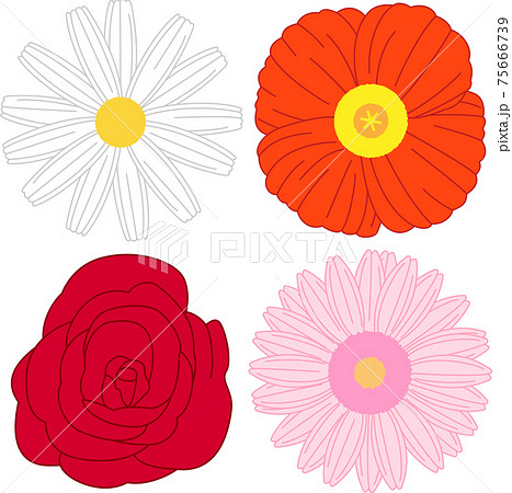 いろいろな種類の花のシンプルなイラスト カラー のイラスト素材
