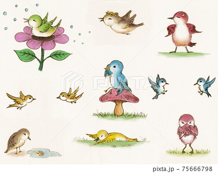 メルヘンチックな小鳥の水彩イラストのイラスト素材