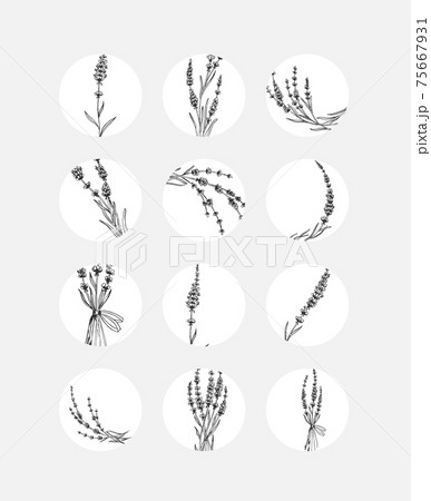 Social media story highlights covers. Abstract flowers and leaves Social media story highlights covers. Abstract flowers and leaves 75667931