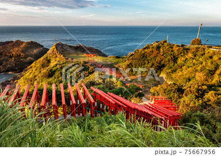 Torii Gates of the Motonosumi Inari Shrine in Yamaguchi, Japan Torii Gates of the Motonosumi Inari Shrine in Yamaguchi, Japan 75667956